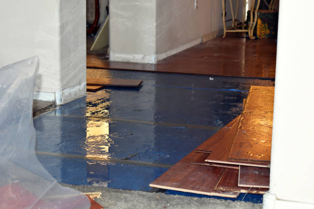 Professional Water Damage Restoration technician working in Trenton, UT